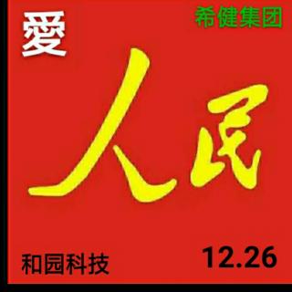 白杨33《原人在行动》上