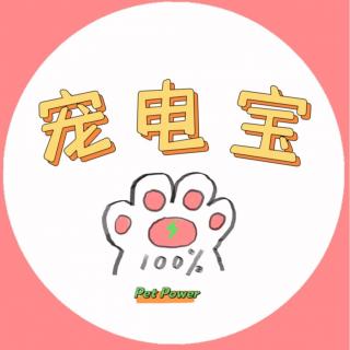 Vol 10.我对人“你不爱我就滚”我对猫be like舔狗！宠物教我爱人