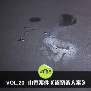 vol.20山野案件《盗窃杀人案》