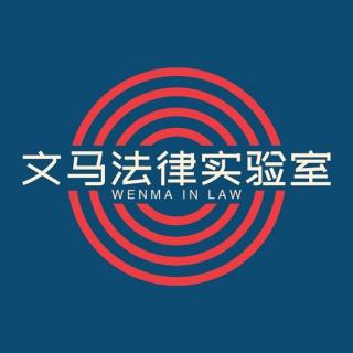 14. 数据流动全球化：从META的12亿欧元天价罚款聊起