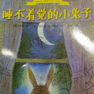 小乐听故事4：睡不着觉的小兔子（生日啦）