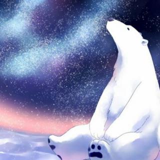 北极熊的星光