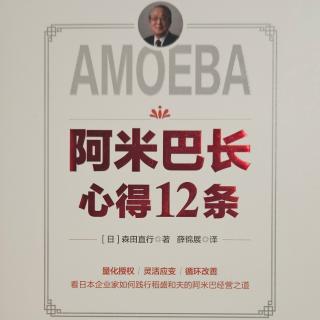 阿米巴长心得12条4～29