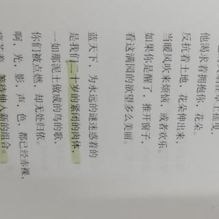 项脊轩志