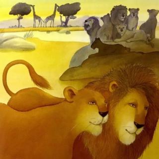 快乐的狮子家族——科普绘本