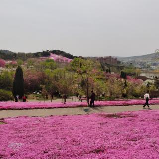 改写人生剧本