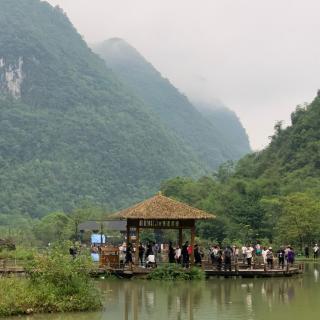 1459.雨~民国老课本