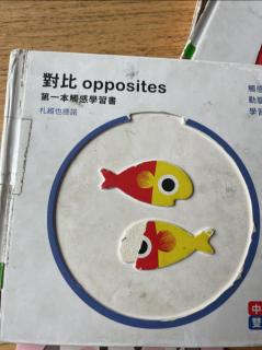 《对比opposite》