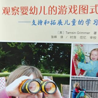 《观察婴幼儿的游戏图式》23-29页