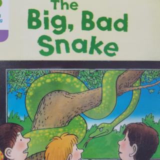 The big bad snake