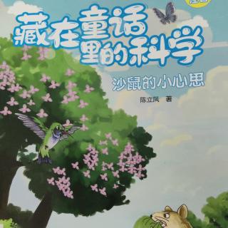 淡定的蜜獾妈妈