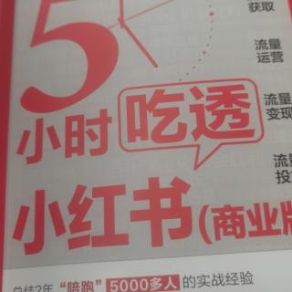 5小时吃透小红书 81-94