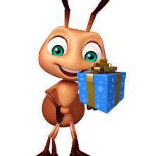 小蚂蚁送礼物