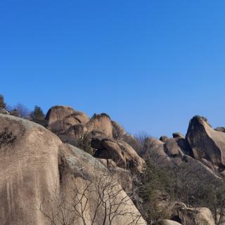 学习纲要