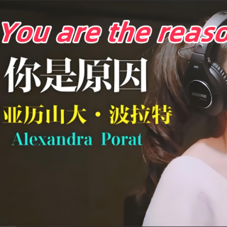 You are the reason-Alex Porat
