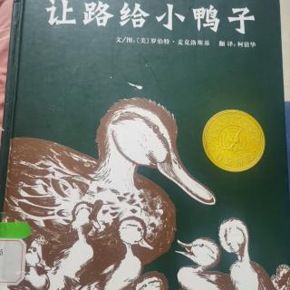 让路给小鸭子