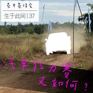 37.汽车拉力赛又如何「生于此间」