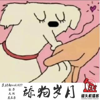 杂谈向vol.027-舔狗岁月