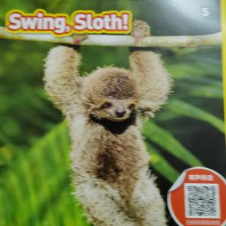 Swing，Sloth