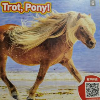 Trot,Pony