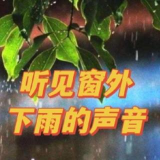 听见窗外下着雨的声音