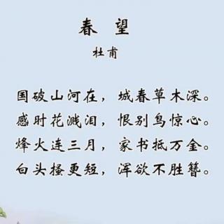 《春望》唐•杜甫