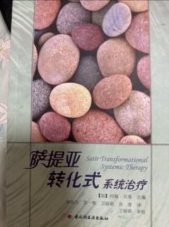 萨提亚转化式系统治疗--4.3引导者的任务和和解方法想要达到的效果