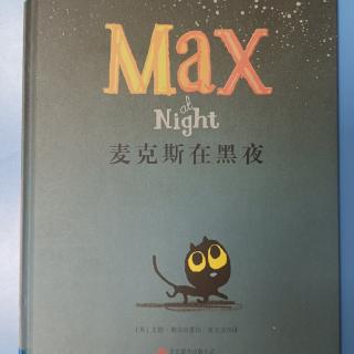 麦克斯在黑夜