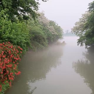 故乡那片湖（作者:徐沛文   朗诵:胡凤茹）