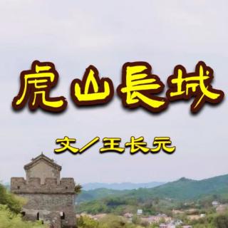      虎山长城
             作者：王长元