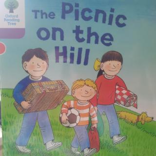 牛津树DD1-The picnic on the hill