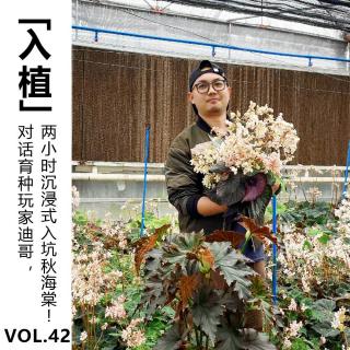 Vol.42 对话育种玩家迪哥，两小时沉浸式入坑秋海棠！