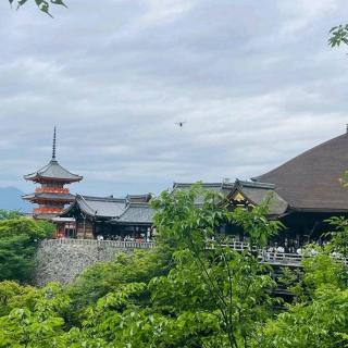 《雨落眉心》  文／明月满秦川