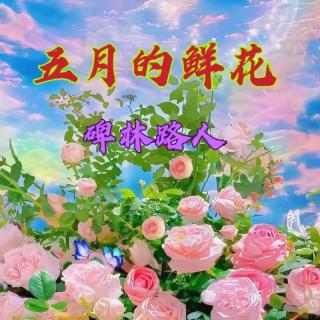 五月的鲜花
           作者：碑林路人