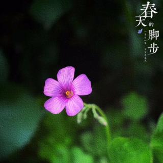 《绿叶的交响》