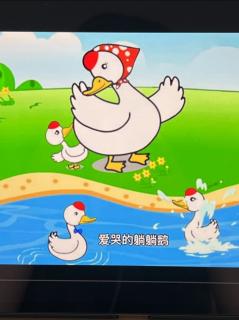 《爱哭的躺躺鹅🦢》