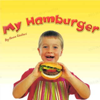 My hamburger故事