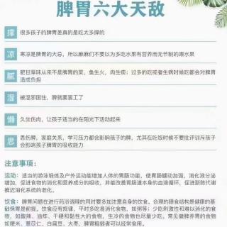 反馈式喂养