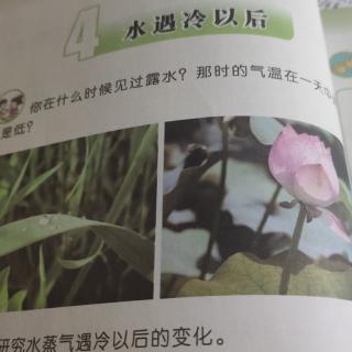 科学书第四课——王雯可