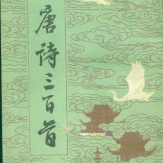 《韦讽录事宅观曹将军画马图》
杜甫