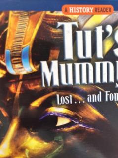 Tut’s Mummy Lost and Found 3