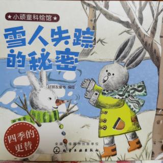 1045《雪人失踪的秘密》