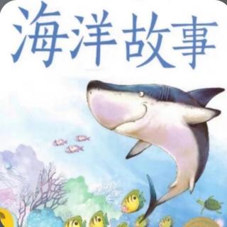 海洋故事《海兔，变身》