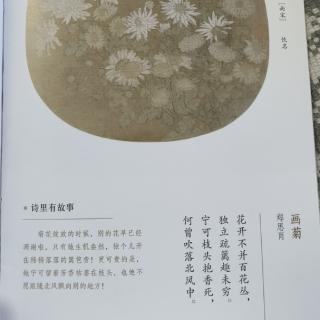 诗里有故事-画菊-郑思肖