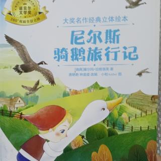 大奖经典绘本《尼尔斯骑鹅旅行记》