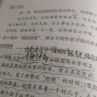 阅读链接再录——王雯可