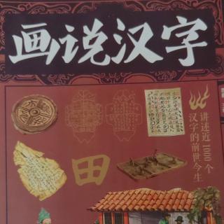 《画说汉字》【67】脾 肝 肠 脂