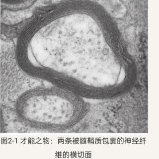 工作≠个人价值0.2