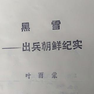 《出兵朝鲜纪实》2