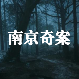 南京奇案【精编版】